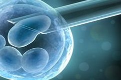 卵巢早衰用怀孕的成功率是多少？2026年北京单次试管多少钱？