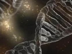 三代试管婴儿能避免唇腭裂吗？